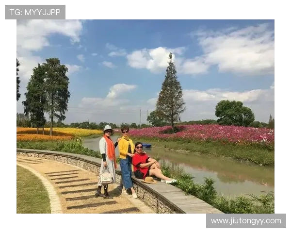 花之舞游戏第二十关挑战揭秘 花海中绽放的智慧与技巧